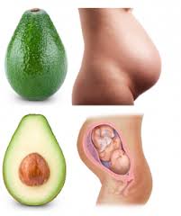 avokaado ja rasedus