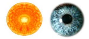 porgand ja silm ilus