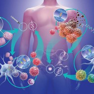 Hoolimata püsivatest müütidest nagu oleks vähk geneetiliselt ettemääratud ehk midagi, millest pole pääsu, on teaduse andmetel vaid 5-10 % vähkkasvajatesse haigestumisest seotud geneetikaga. Ülejäänud haigestumised on seega tingitud epigeneetilistest ehk geenidest mittesõltuvatest faktoritest nagu toitumine, elustiil, keskkond ja stress. Vähki haigestumist on kirjeldatud ka kui jumalikku korralekutsuvat koputust õlale… Loeng tutvustab tegureid, millest hoiduda ja […]