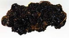 Kvaliteetne ökoloogiline MUMIO ekstrakt - Image 2