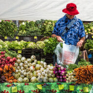   Kõrge vererõhk on saanud kiire elutempo kaubamärgiks. USA-s  kannatab eelkõrgvererõhutõve või juba õitsele puhkenud hüpertoonia käes üks inimene kolmest. Ja ka eestlased pingutavad kõigest väest, et sellele tasemele mitte alla jääda. Sageli võib kõrge vererõhk jääda märkamatuks, kuna selle sümptomeid kas ei hoomata või ei osata tähele panna. Nii võibki juhtuda, et inimese äkksurm […]