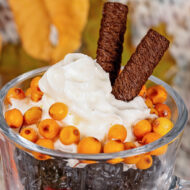 Meie tervist mõjutavad igapäevaselt  keskkonnamürgid, kiiritus ja stress, mis röövivad organismilt nii energiat kui toitaineid. Tervislikult toitumine on oluline, kuid aeg-ajalt vajame ka supertoite, mis keha tardumusest tõeliselt üles raputaksid ja  „välisagressorite“ vastu võitlusvõimeliseks teeksid. Kes siinkohal võõramaiste ja tundmatute supertoitude kartuses kohe nina krimpsutama tõttavad,  siis rahunege – imelisi taimi kasvab hulgaliselt ka Eestimaa […]