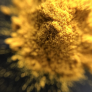 Kurkum – imeliste raviomadustega vürts Käes on sügis. Aeg soojendada end hõrkude vürtside paistel:) Kurkumi imeravitseja portfooliosse kuuluvad järgmised toimed: Imelise maheda kurkumi leiab siit: