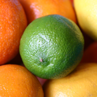 Me kõik teame, et C-vitamiin on oluline antioksüdant ja immuunsüsteemi toetaja.  Aga kas olete kuulnud, et  C-vitamiin   mängib  üliolulist rolli ka veresoonte tervise tagamisel  ning et piisavas koguses C-vitamiini  aitab tõhusalt ennetada insulti  ja infarkti? Jaapanis   läbi viidud uuringu käigus selgus, et inimestel,  kel on  veres  kõrgem C-vitamiini tase,  on tervelt   70%  väiksem tõenäosus saada  […]