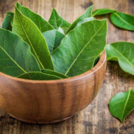 Loorber on tunnustatud vürts ja põneva maitsenüansi andja, kuid selle taime tarvitamisega kaasneb ka lugematult palju muid boonuseid. Vähe sellest, et loorber meelitab kohale armastuse ja rahaõnne, toob ta vana uskumuse kohaselt ka tugeva tervise ja toetab elujõudu. Pole ka ime, sest imelisel loorberil on lõõgastav, soojendav, kuivatav, puhastav ja rahustav mõju. Loorberilehti võiks hoida […]