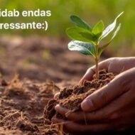 Mullas on peidus antidepressandid:) Aiatööd ja käte mullaseks tegemine tekitavad rõõmu ja rahulolu. Miks?Sest muld ja kompost sisaldavad mikroorganismi nimega Mycobacterium vaccae. Tegu on mittepatogeense bakteriga, mis stimuleerib serotoniini, meie õnne- ja heaolunärvivahendusaine tootmist. Bakteri nimetus pärineb ladinakeelsest sõnast vacca (lehm), kuna esimene Mycobacterium tüvi kasvatati Austrias lehmasõnnikust.Mycobacterium vaccae eraldati esmakordselt Uganda Lang’o piirkonnast, kus […]